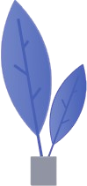 auth-tree